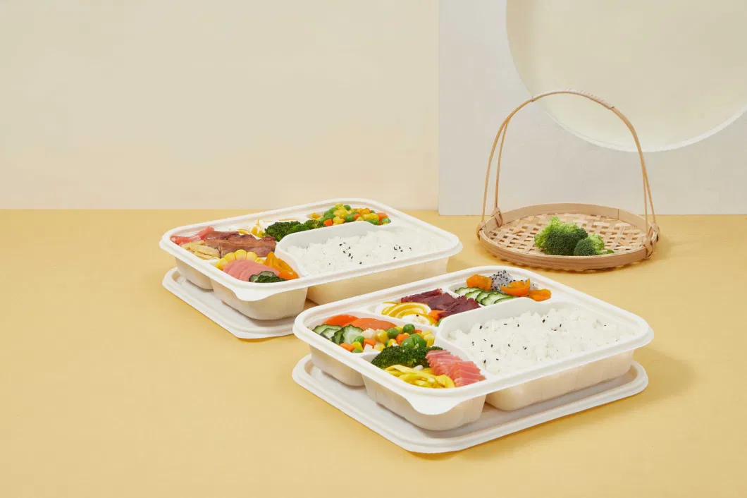 Eco-Friendly Biodegradable Food Storage Container with Lid