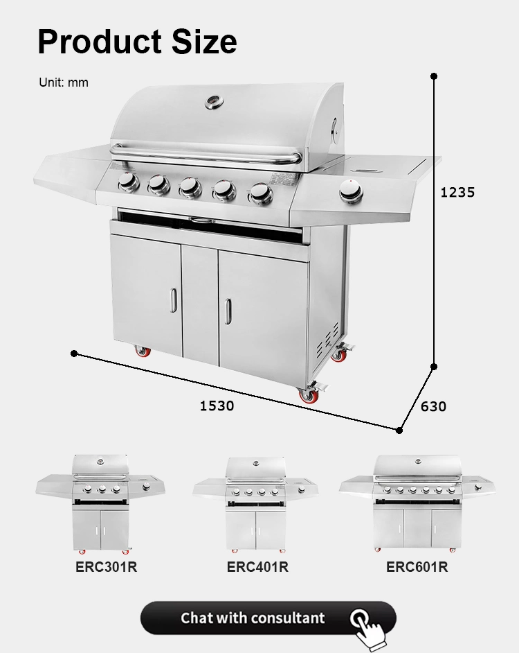 Outdoor Kitchen on Wheels Best Small Gas Grill Portable BBQ Grill Propane Barbecue Grill Kit