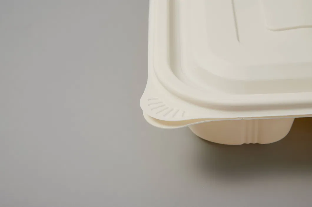 Eco-Friendly Biodegradable Food Storage Container with Lid