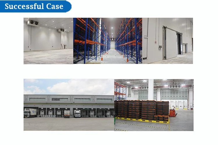 Cold Room, Cold Storage for Frozen Meat, Seafood, Vegetable and Fruits