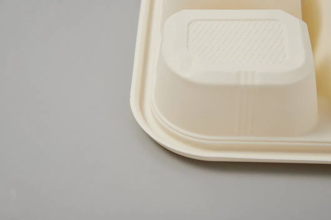 Eco-Friendly Biodegradable Food Storage Container with Lid