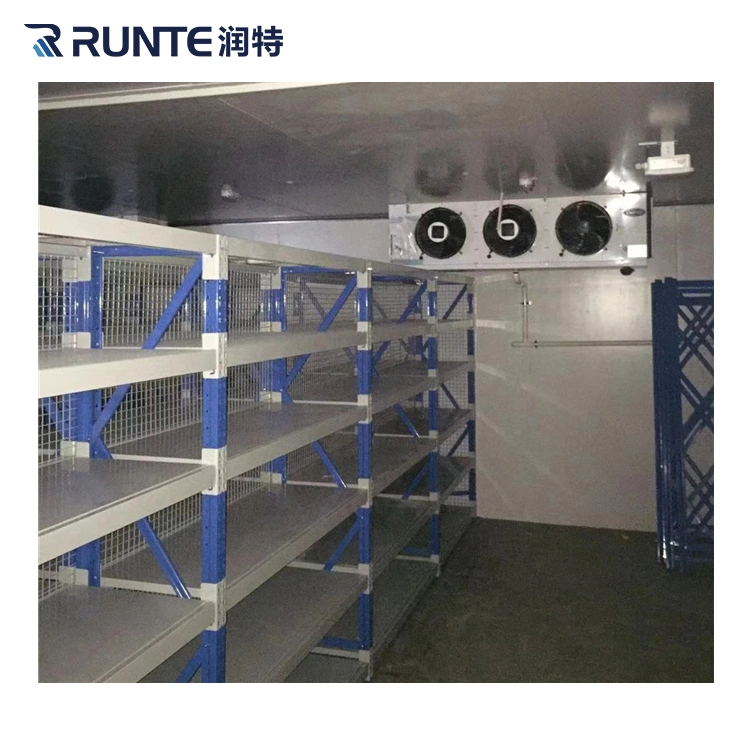 Runte Brand Supermarket Warehouse Distribution Center Industrial Logistics Seafood Meat Chicken Fish Freezer Freezing Room Cold Storage