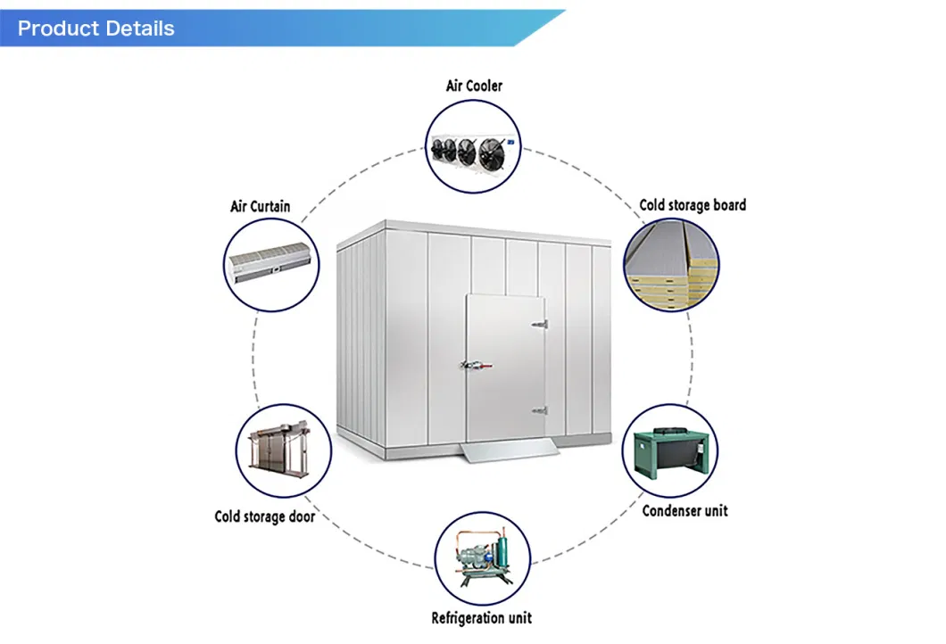 Runte Brand Supermarket Warehouse Distribution Center Industrial Logistics Seafood Meat Chicken Fish Freezer Freezing Room Cold Storage