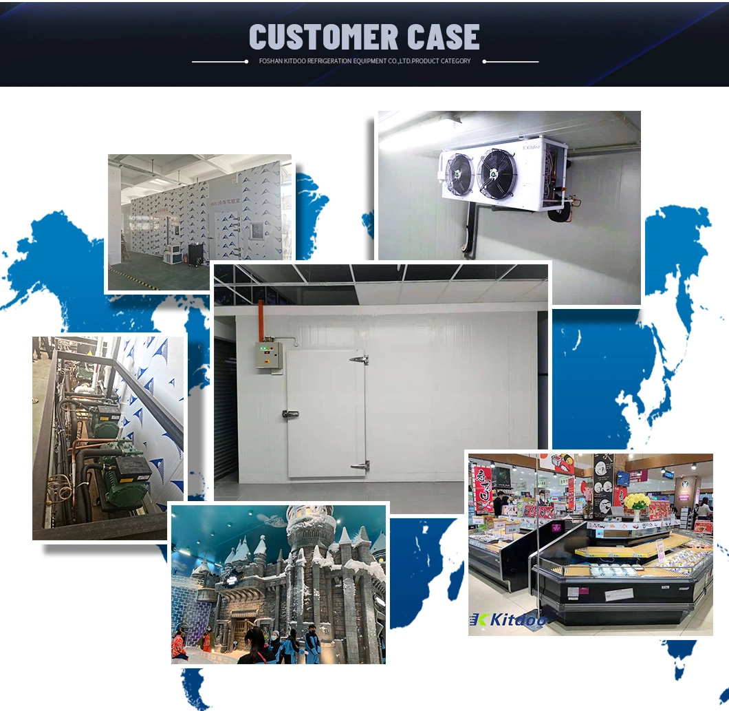 Cold Room Air Cooled Condensing Unit with R404A Compressor Refrigeration Unit for Cold Storage