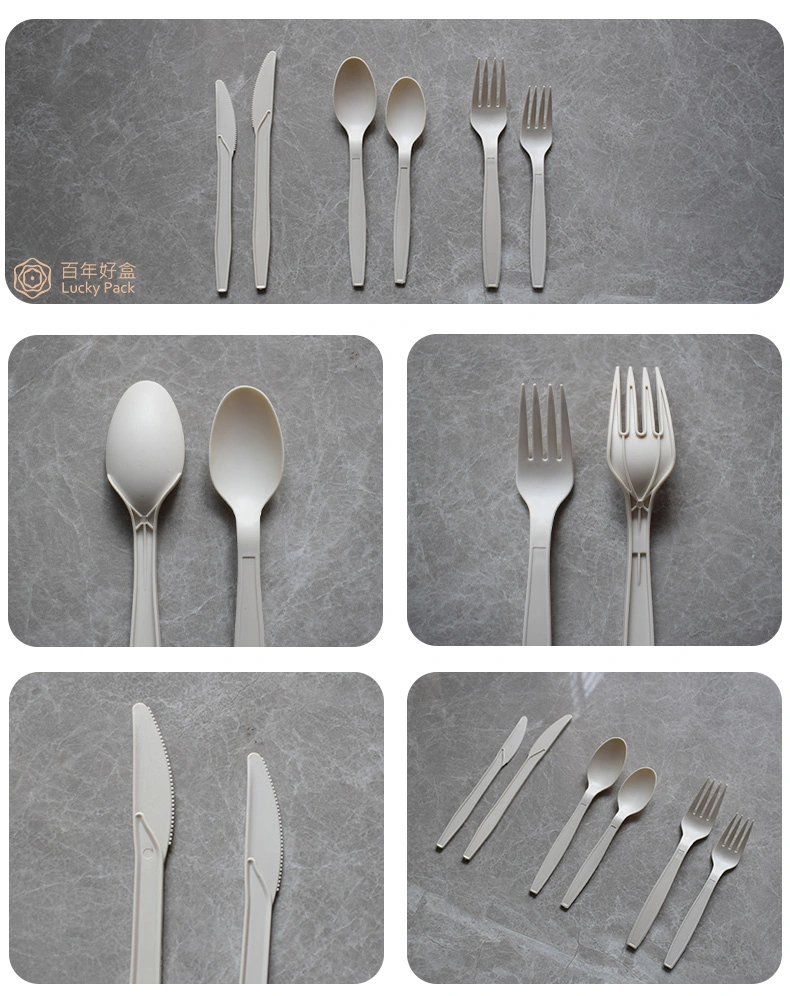 Hospitality Cutlery Set in Giftbox with High Quality Stainless Steel Tableware/Dinnerware/Cutlery