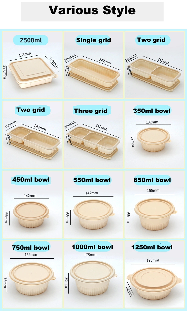 Eco-Friendly Biodegradable Food Storage Container with Lid