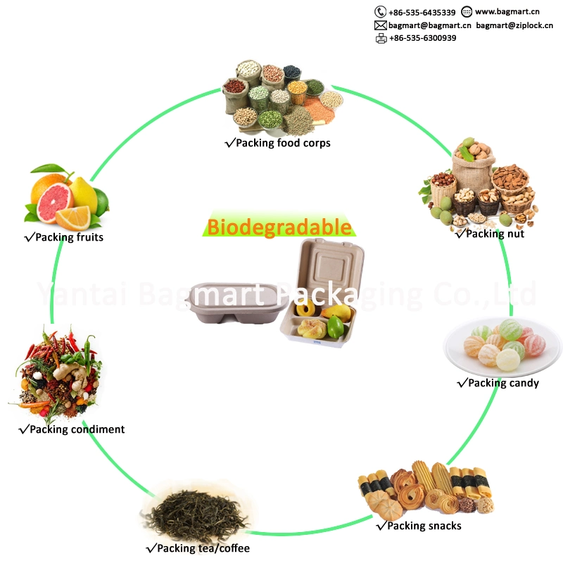 Environmental Friendly Biodegradable Disposable Tableware Meat Dish Dinnerware