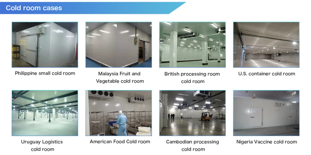 Runte High Efficient Customized Industrial Seafood Freezer Room Refrigeration Cold Storage