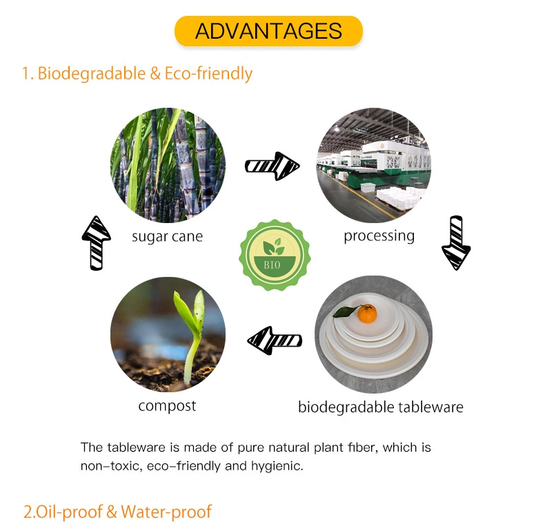 Eco Friendly Biodegradable Compostable Disposable Degradable Sugarcane Bagasse Dinnerware