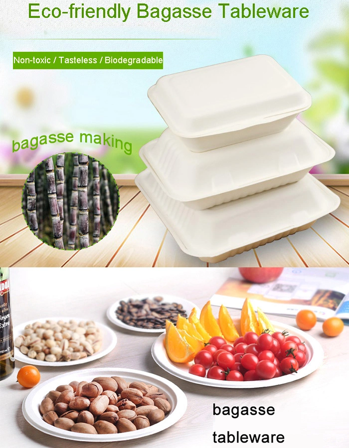 Disposable Eco Paper Plates Round Dinnerware for Salad