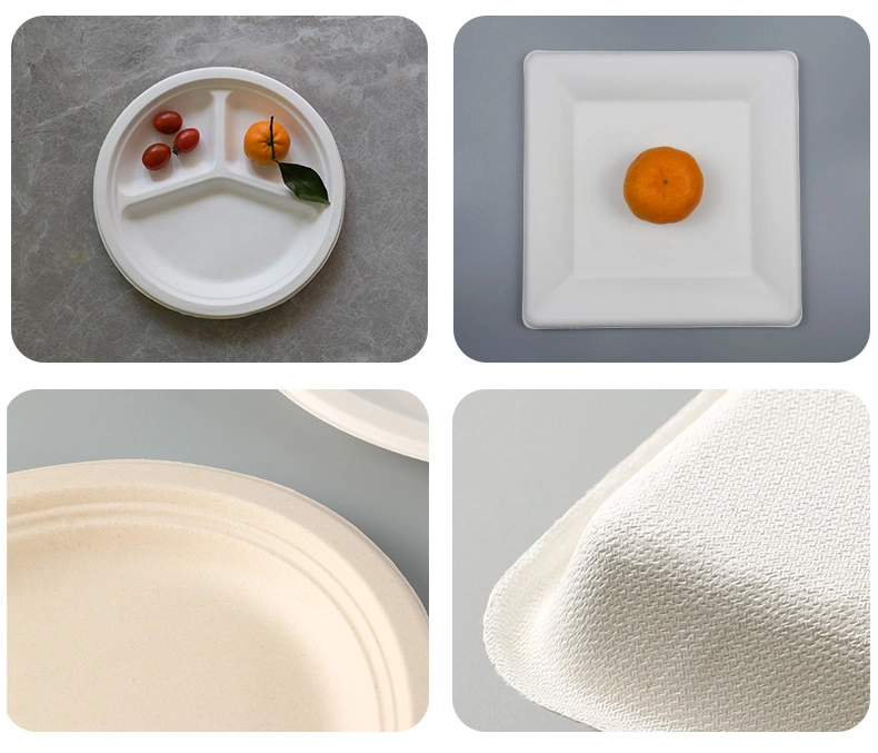 Compostable Disposable Sugarcane Bagasse Food Packaging Biodegradable Tableware