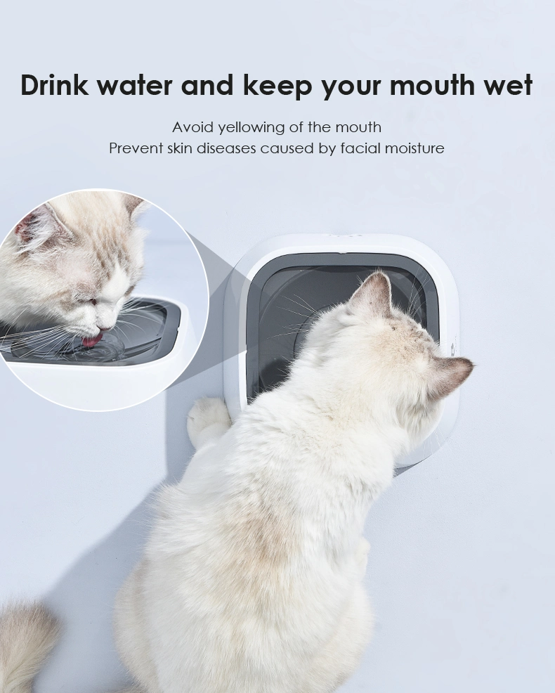 Dog Prevent Buoyant Force Drinking Bowl No-Splash-Proof