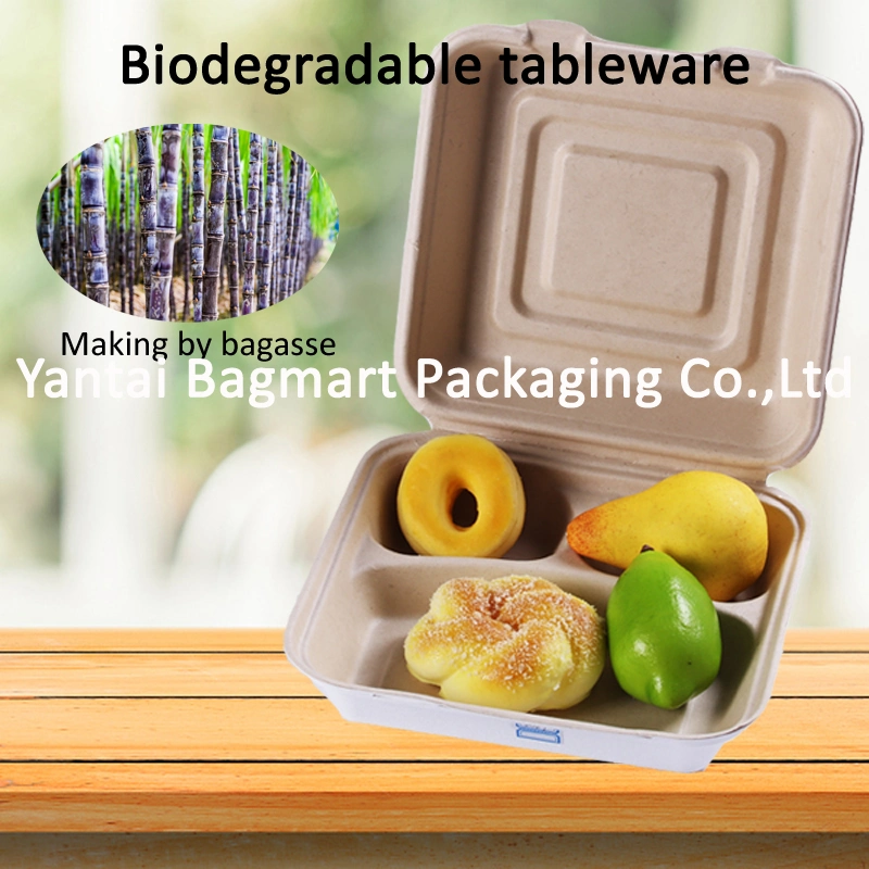 Environmental Friendly Biodegradable Disposable Tableware Meat Dish Dinnerware