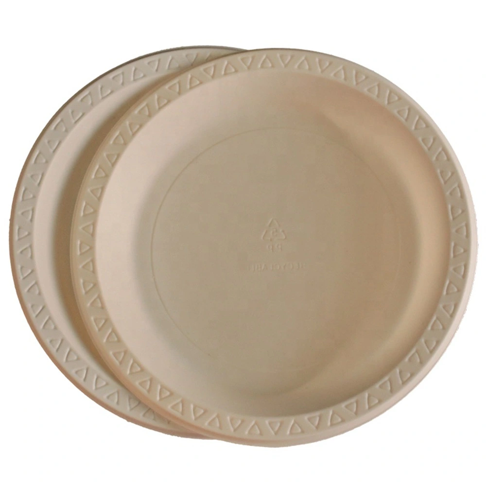 New Product Disposable Dinnerware