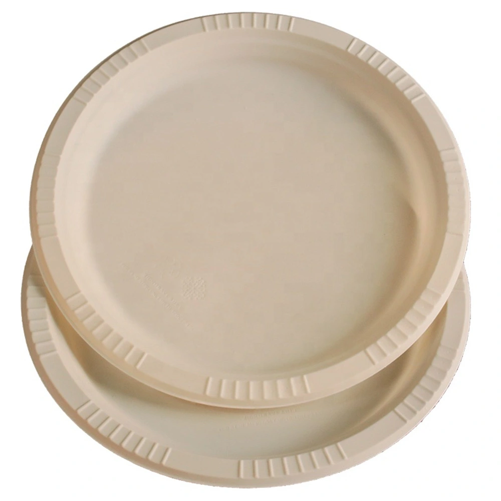 New Product Disposable Dinnerware