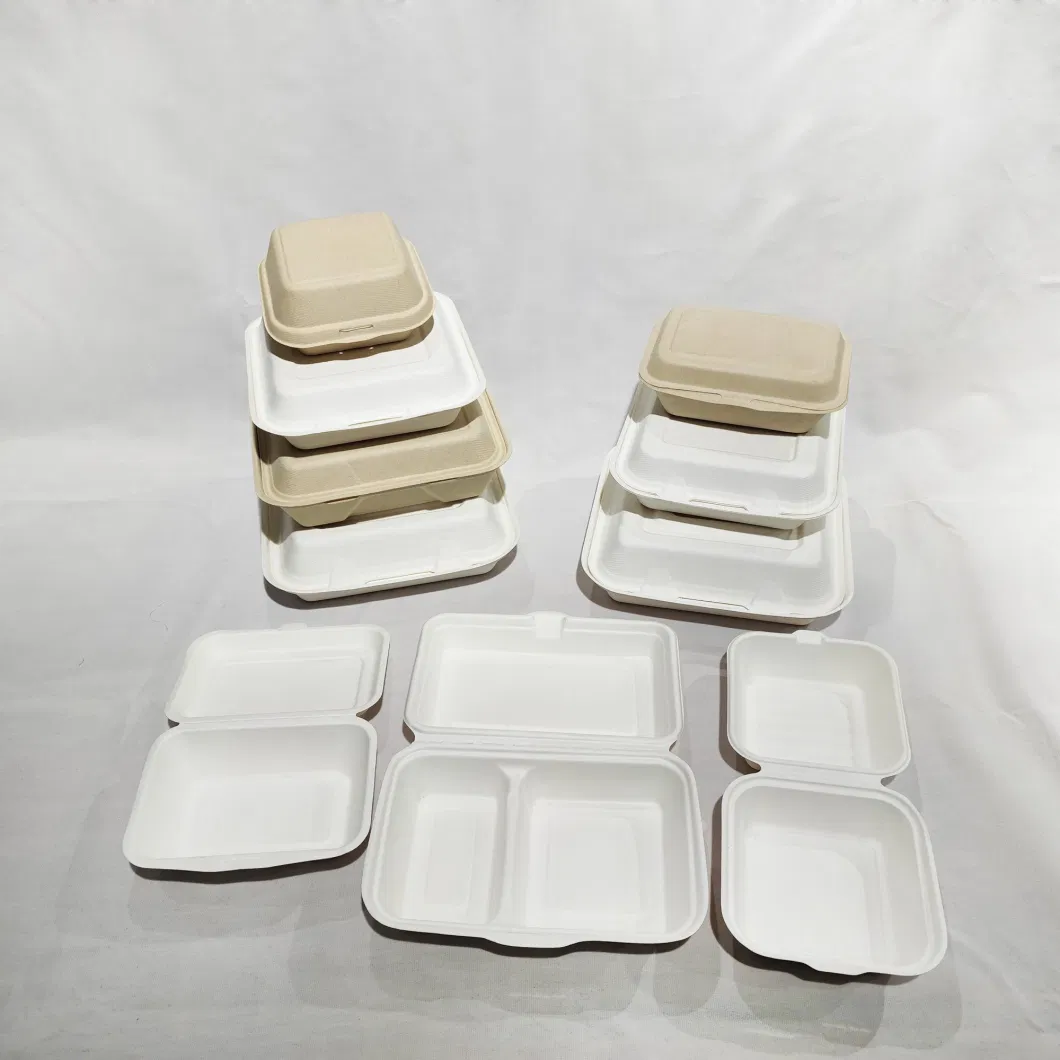 Disposable Tableware Sugarcane Bagasse Food Box 100% Compostable Pulp Tableware Biodegradable Cutlery Takeaway Food Containers