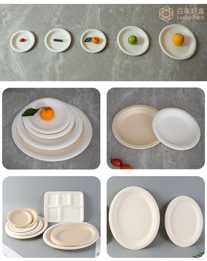 Compostable Disposable Sugarcane Bagasse Food Packaging Biodegradable Tableware