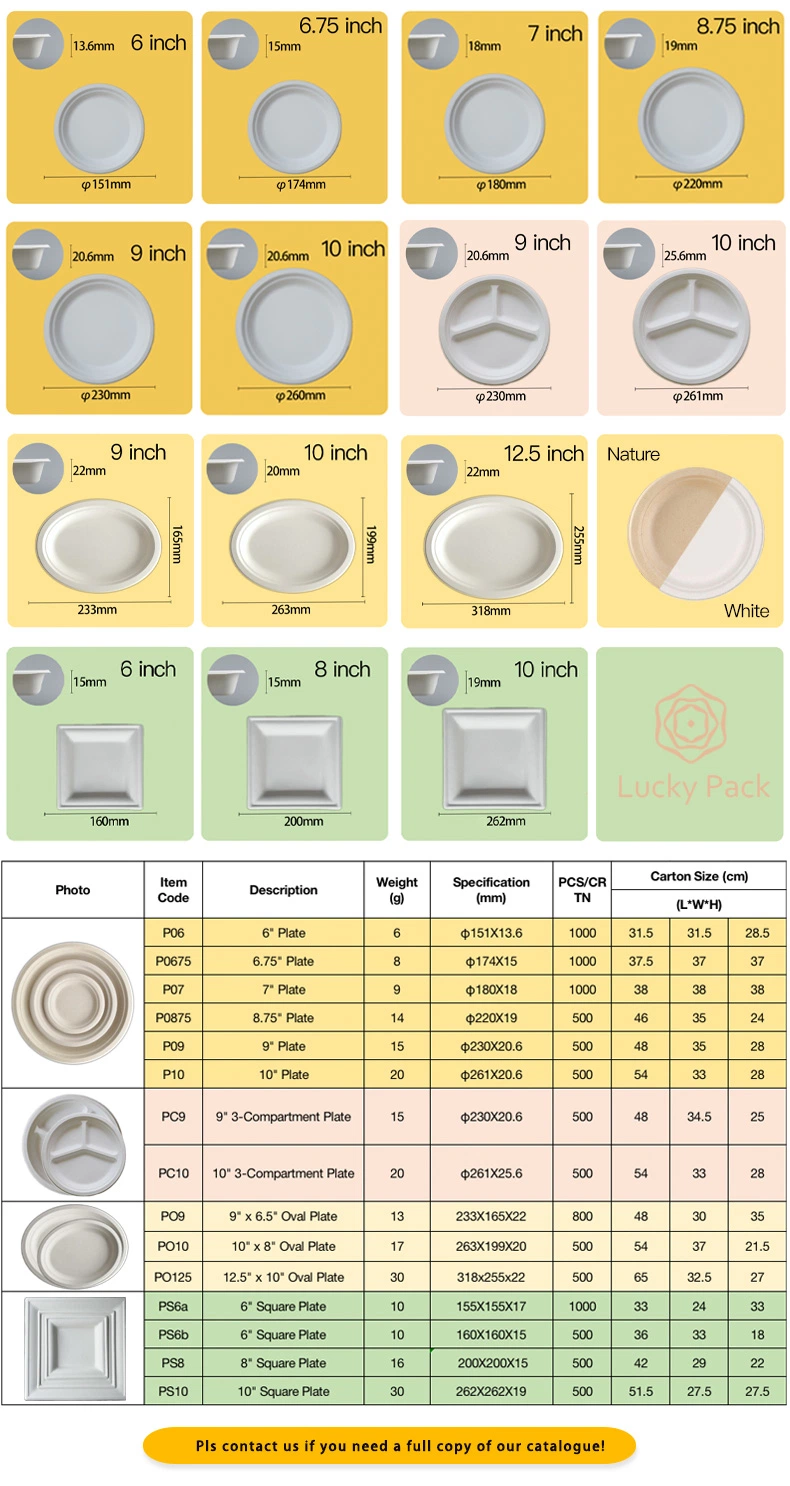 Compostable Disposable Sugarcane Bagasse Food Packaging Biodegradable Tableware