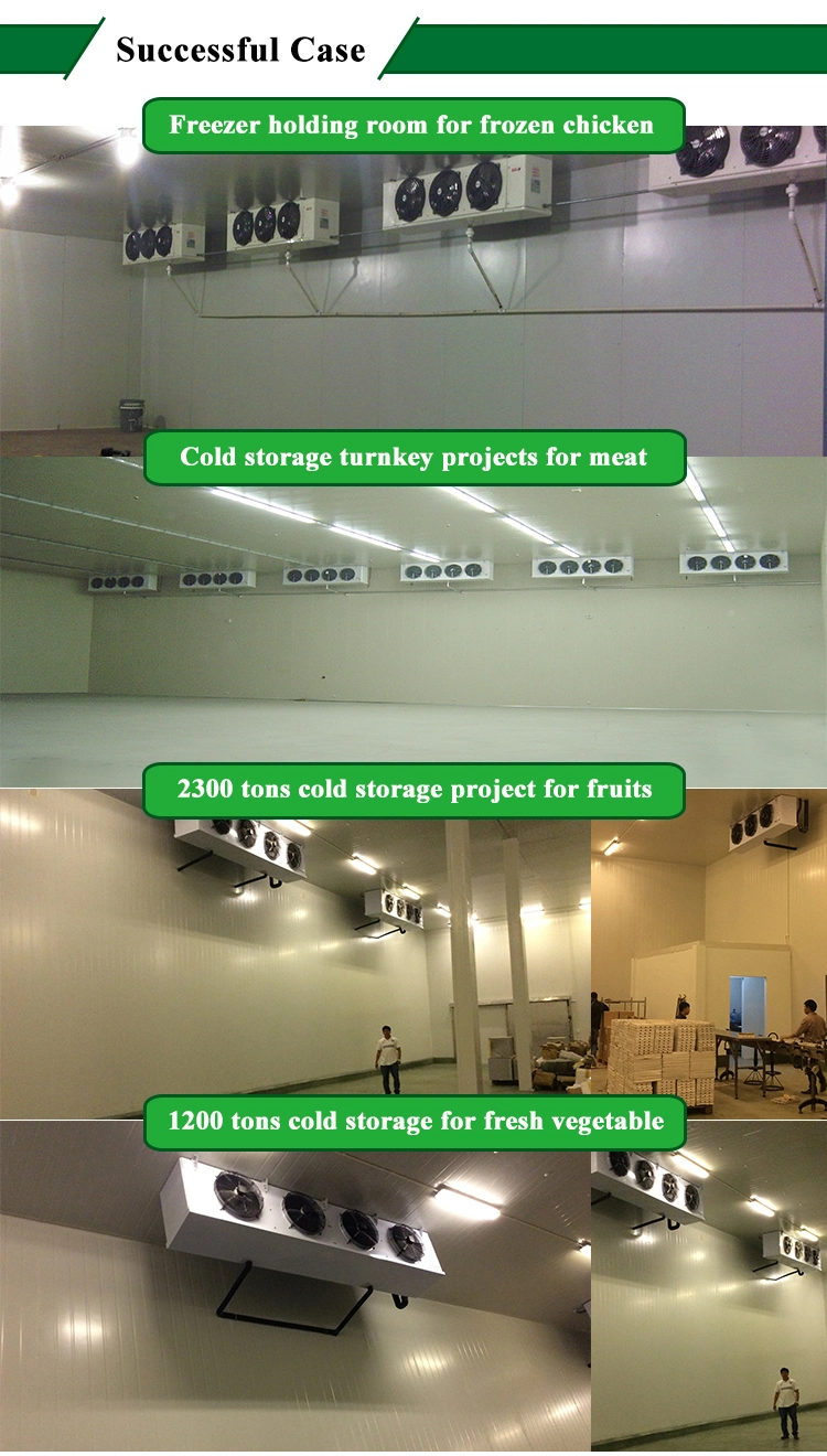 +10~-40c Seafood Chicken Meat Fish Processing Plant Cold Storage Price