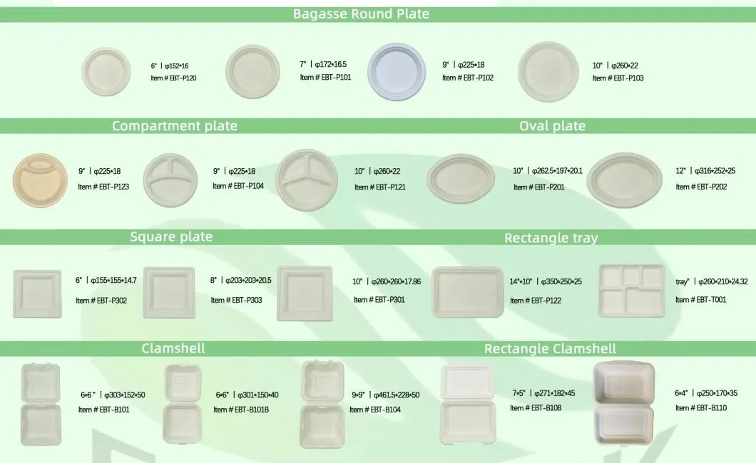 Patent Certified Disposable Bowls Biodegradable Biodegradable Lunch Bowl Disposable Tableware Party