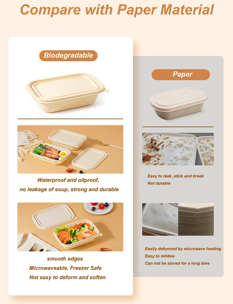 Eco-Friendly Biodegradable Food Storage Container with Lid