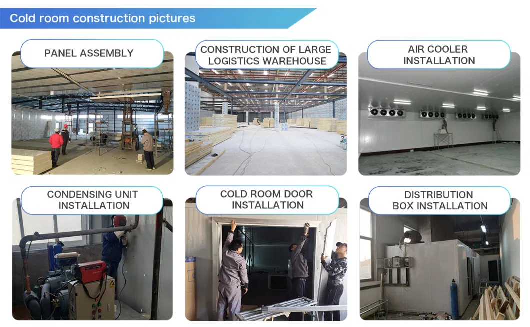 Runte High Efficient Customized Industrial Seafood Freezer Room Refrigeration Cold Storage