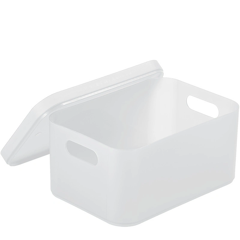 Desktop Cosmetic Debris Storage Box Plastic Frosted Compartment with Lid Storage Rack