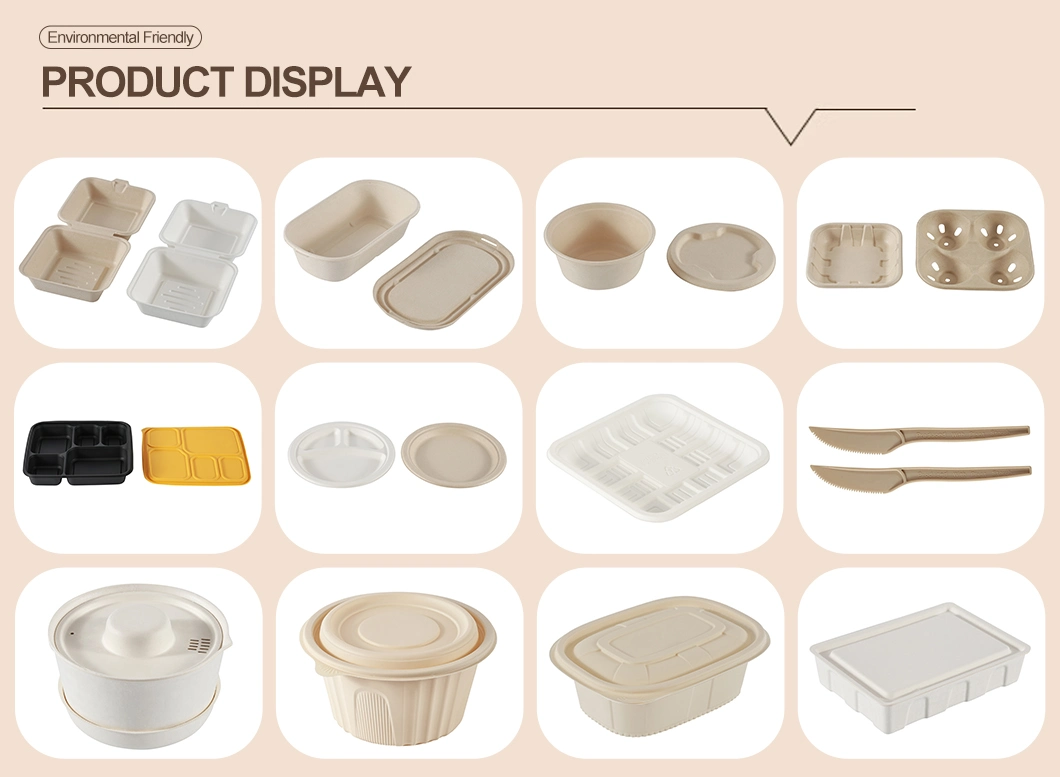 Disposable Customizable Environmental Friendly Biodegradable Tableware Food Container Plate