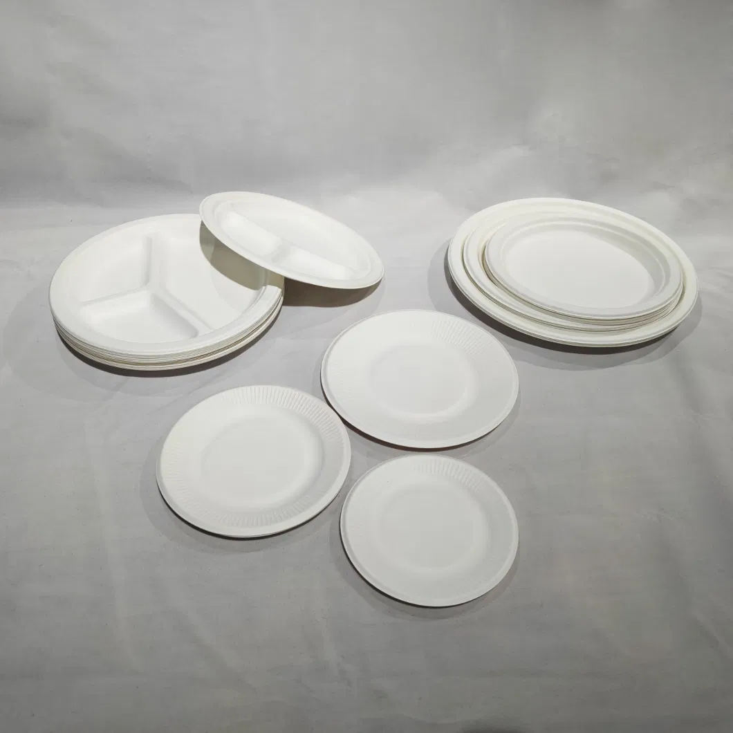 Packaging Eco Friendly Biodegardable Sugarcane Pulp Tableware Disposable Dishes Dining Plates Sets Dinnerware