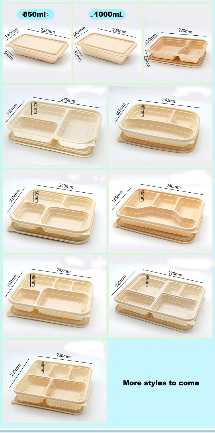 Eco-Friendly Biodegradable Food Storage Container with Lid
