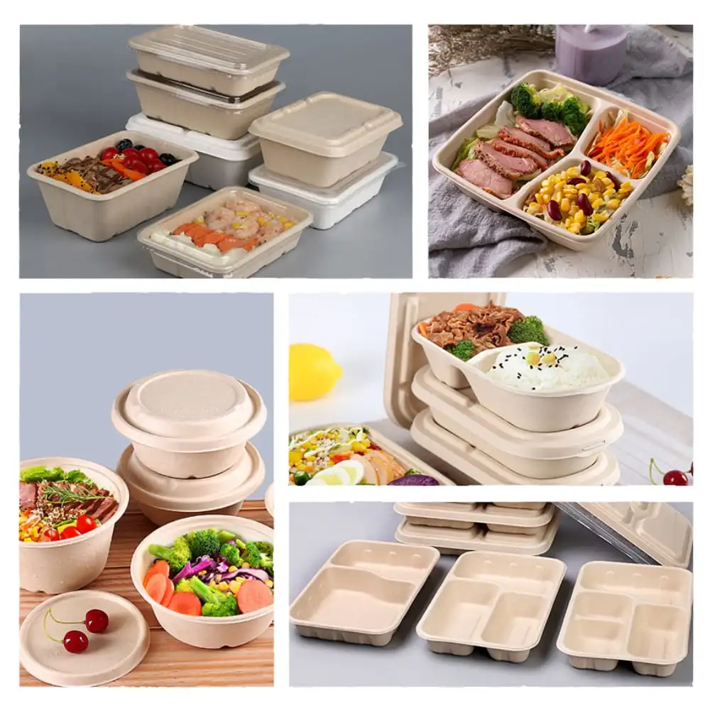 Disposable Tableware Sugarcane Bagasse Food Box 100% Compostable Pulp Tableware Biodegradable Cutlery Takeaway Food Containers