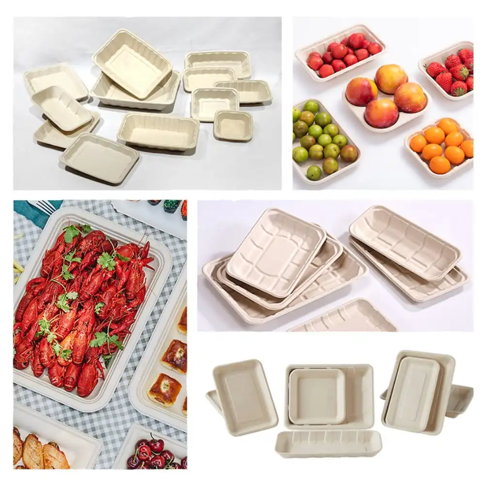 Disposable Tableware Sugarcane Bagasse Food Box 100% Compostable Pulp Tableware Biodegradable Cutlery Takeaway Food Containers