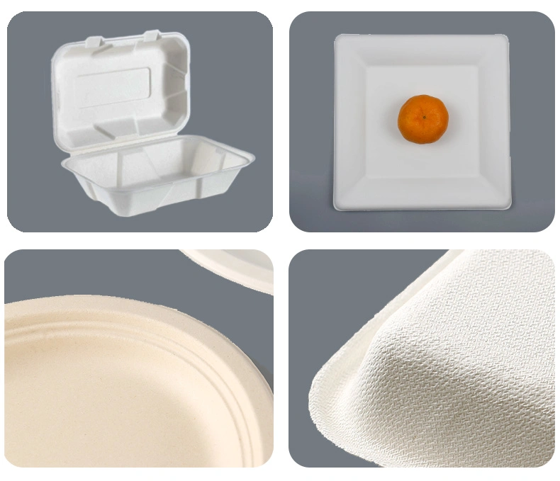 Biodegradable Compostable Degradable Disposable Eco Friendly Sugarcane Bagasse Dinnerware