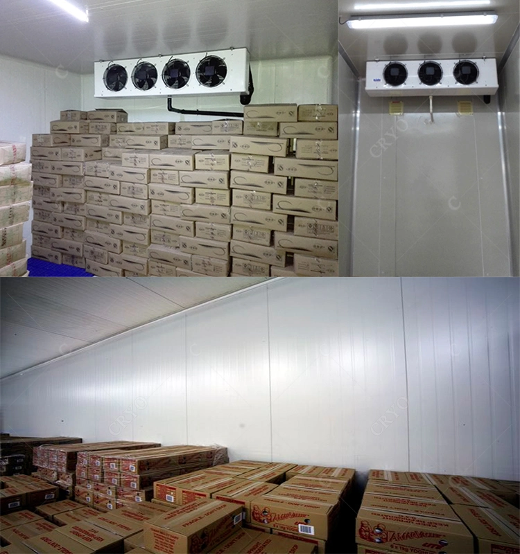 Cold Storage Prefabricated Food Cold Storage for Fresh Vegetables and Fruits