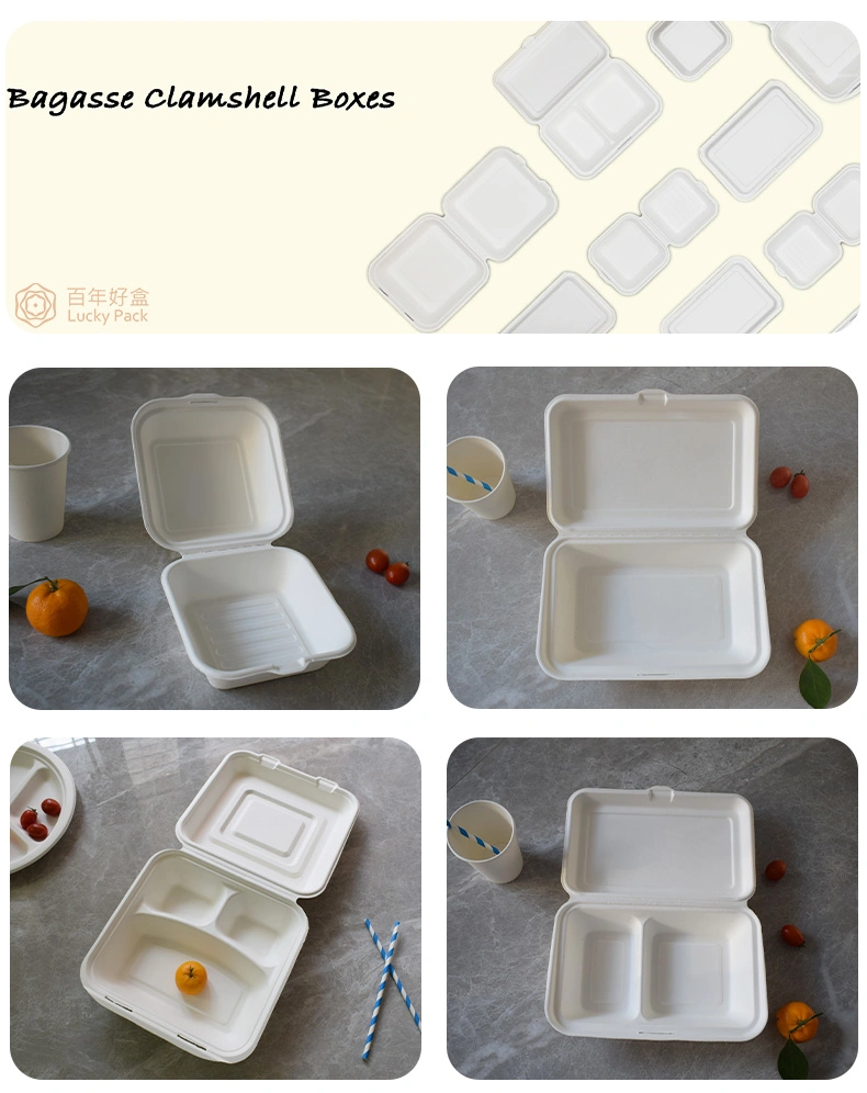 Biodegradable Compostable Degradable Disposable Eco Friendly Sugarcane Bagasse Dinnerware