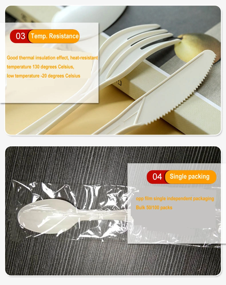 Wholesale Custom Spoon Fork Knife Set Biodegradable Bagasse Environmental Friendly Disposable Fork