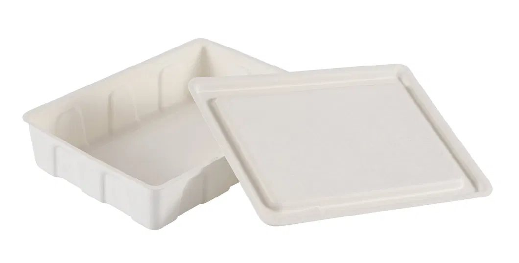 Disposable Customizable Environmental Friendly Biodegradable Tableware Food Container Plate