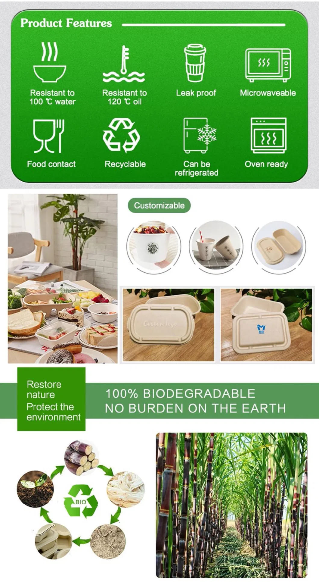 Disposable Tableware Sugarcane Bagasse Food Box 100% Compostable Pulp Tableware Biodegradable Cutlery Takeaway Food Containers