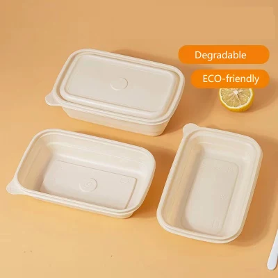 Contenitore per alimenti monouso per alimenti, recipiente degradabile