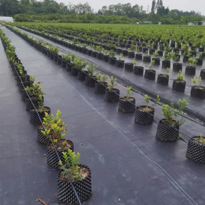  Protezione UV plastica Anti-Weed tessuto barriera di controllo Weed tessuto paesaggio Tappetino