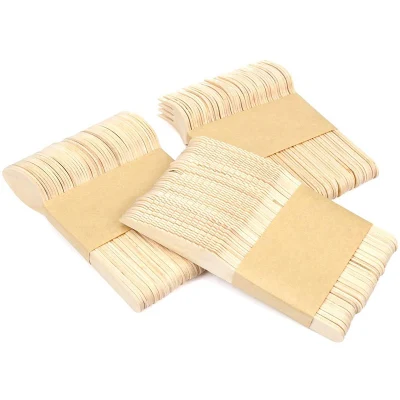  Party Disposable Eco friendly posate in legno stoviglie