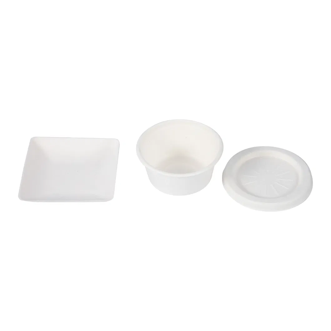 Eco Friendly Disposable Environmentally Box Sugarcane Lid Food Tableware Takeout Take Away Bagasse Food Sugarsugar Cane Bagasse Burger Box 6 Inches