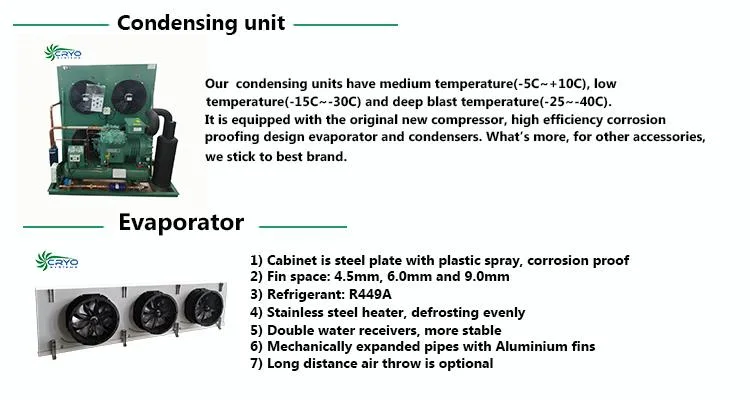 Cold Room, Cold Storage for Frozen Meat, Seafood, Vegetable and Fruits