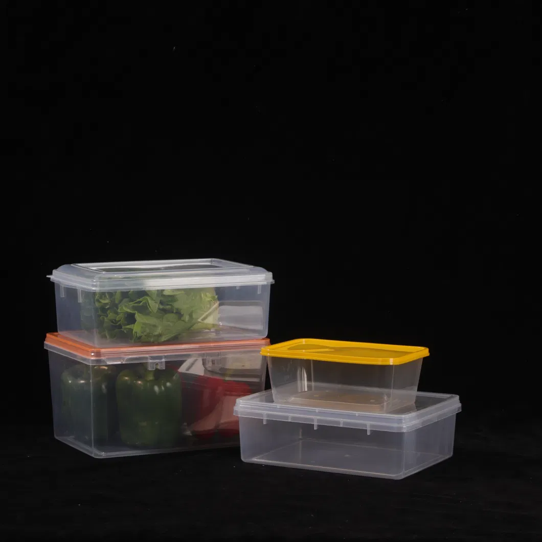 Biscuit Boxes Preservation Box PP Plastic Food Plastic Containers