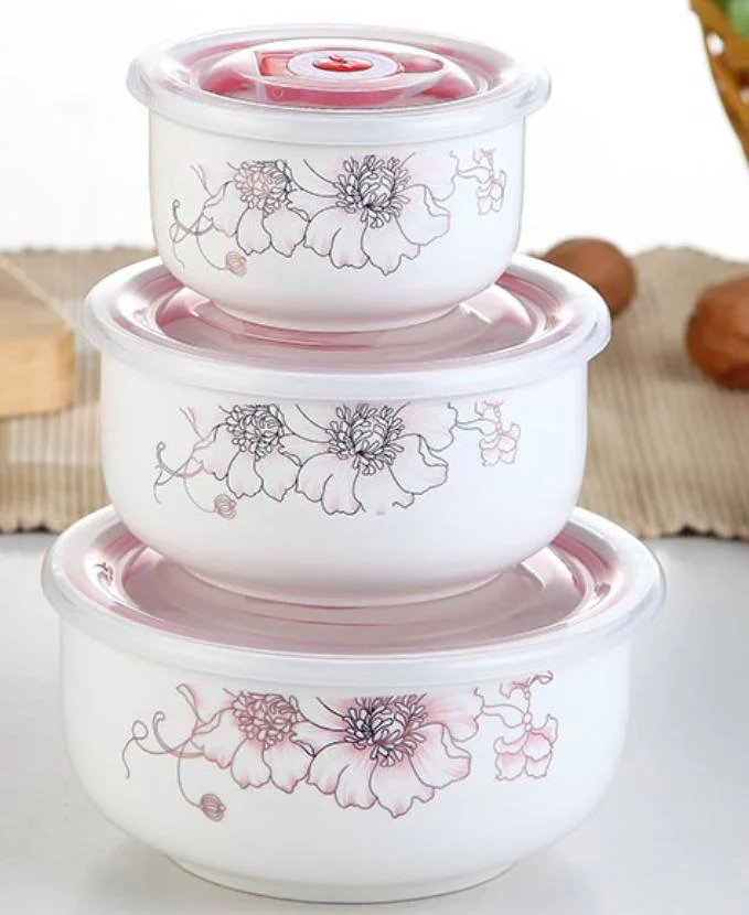 Popular Round 3PCS Porcelain Storage Bowl Set Ceramic Bowls Plastic Cover Printed Porcelain Porcelain Lunch Box Set Porcelain Dinner Plates Set