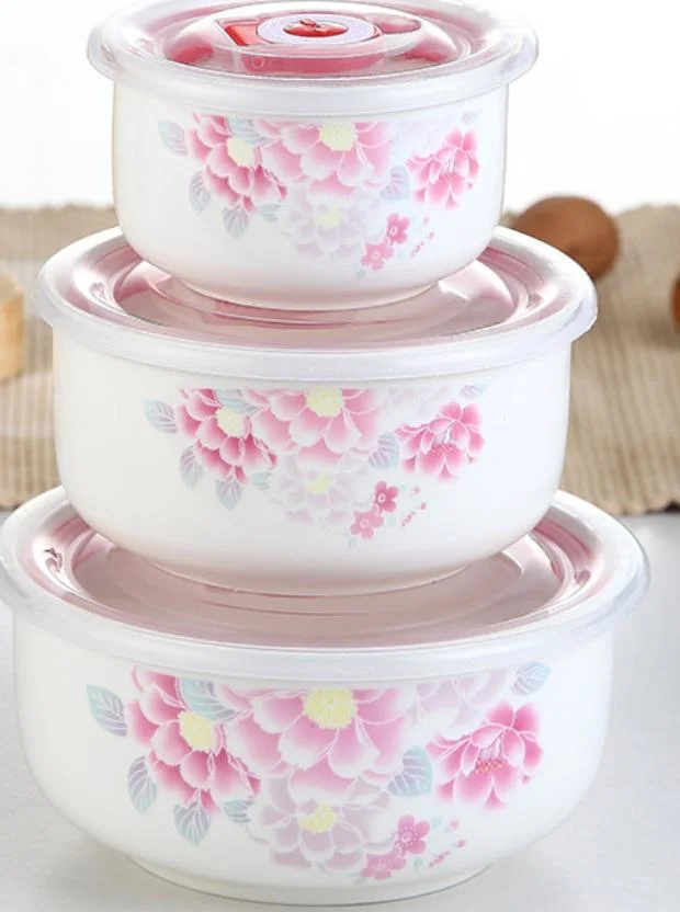 Popular Round 3PCS Porcelain Storage Bowl Set Ceramic Bowls Plastic Cover Printed Porcelain Porcelain Lunch Box Set Porcelain Dinner Plates Set