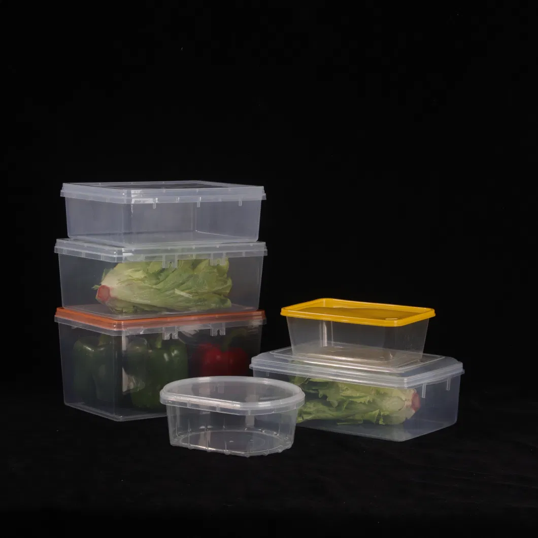 Biscuit Boxes Preservation Box PP Plastic Food Plastic Containers