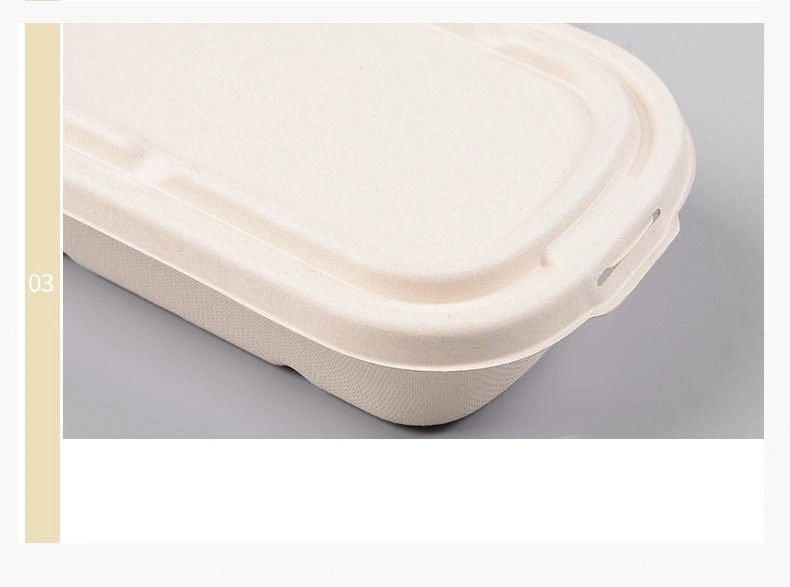 100% Compostable Disposable Bagasse Natural Take out Food Packaging Paper Containers Tableware