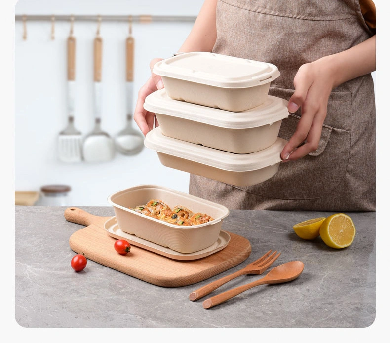 100% Compostable Disposable Bagasse Natural Take out Food Packaging Paper Containers Tableware