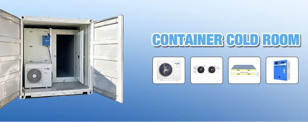 20FT/40hq Container Cold Room Refrigerator Freezer Storage